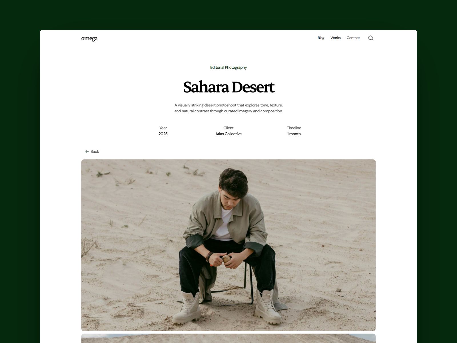 Omega — Business Website Template screenshot 3