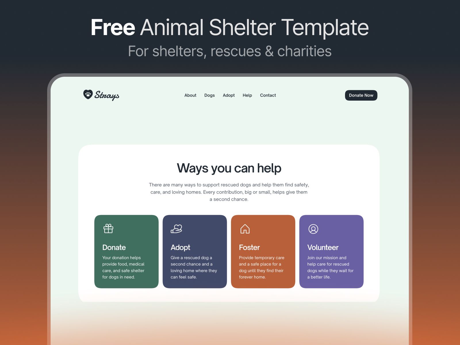 Strays — Community Website Template screenshot 4