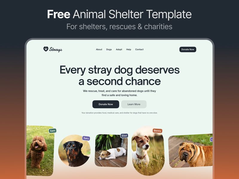 Strays — Topluluk Web Sitesi Şablonu