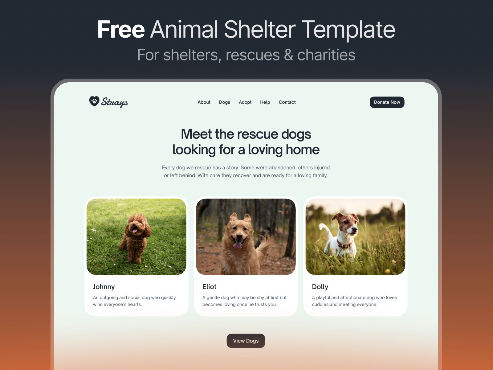 Strays — Community Website Template screenshot 3
