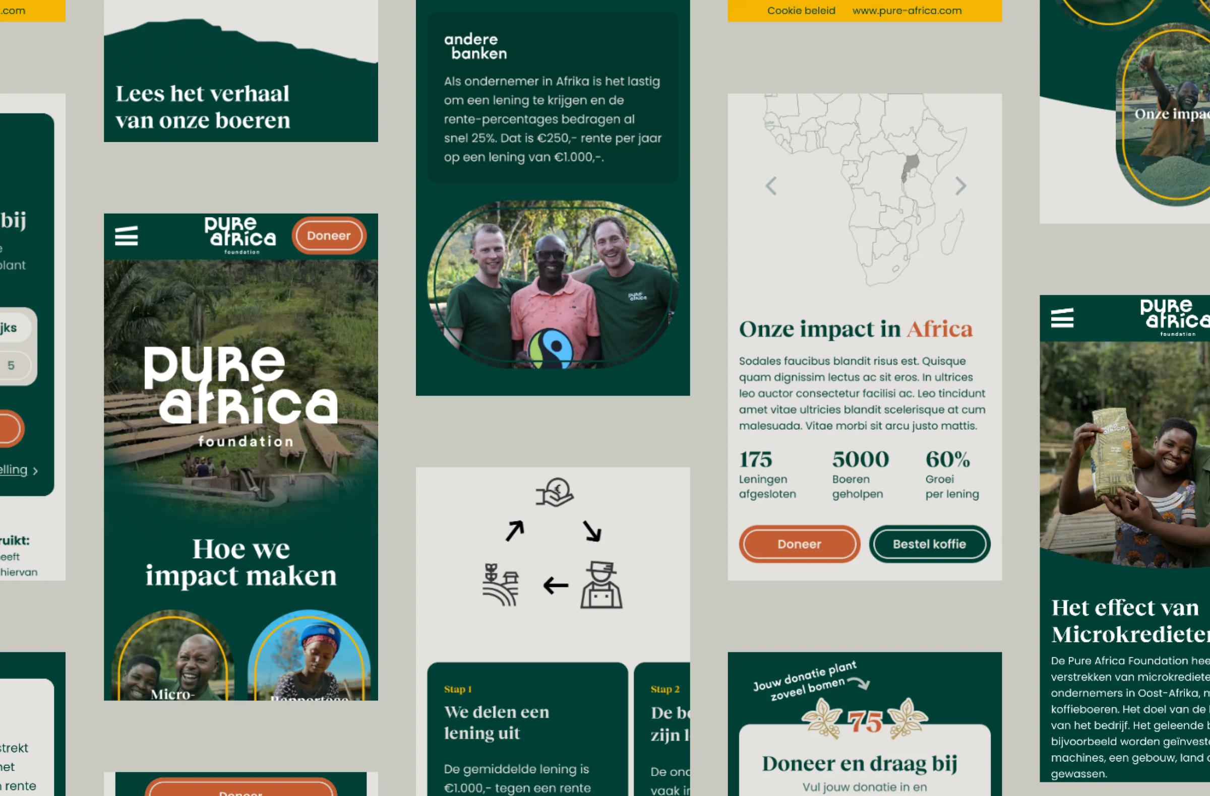 Pure africa foundation design, screen 4
