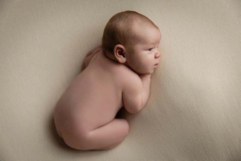 Novorozenec na bříšku na béžové dece, portrét z fotoateliéru.