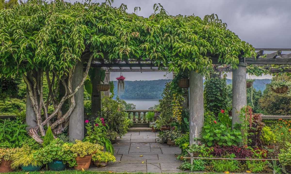 WaveHill Garden