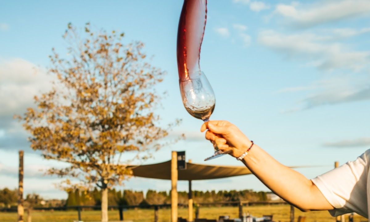 Martha Clara Vineyards