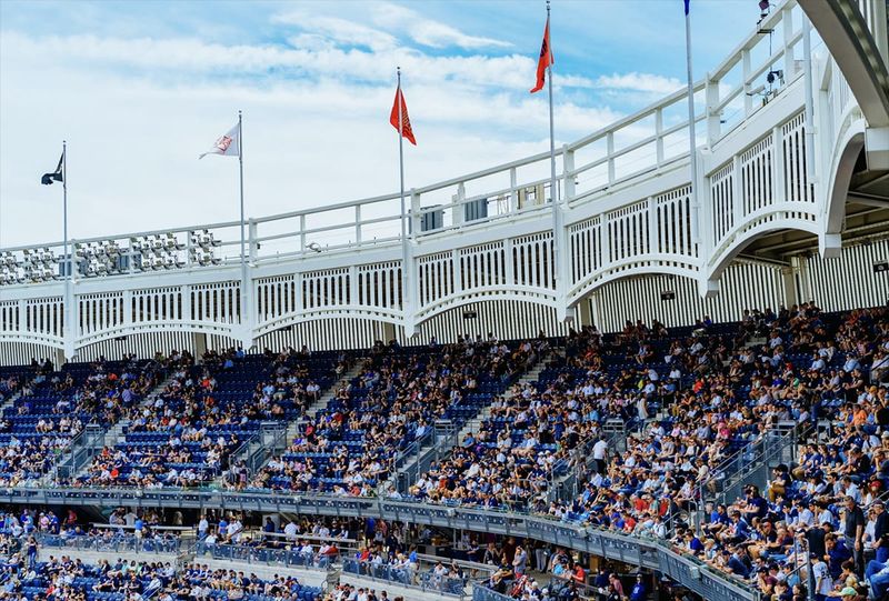 Go!Yankees 洋基球場