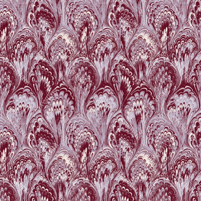 Maroon Orchid Bloom Ebru