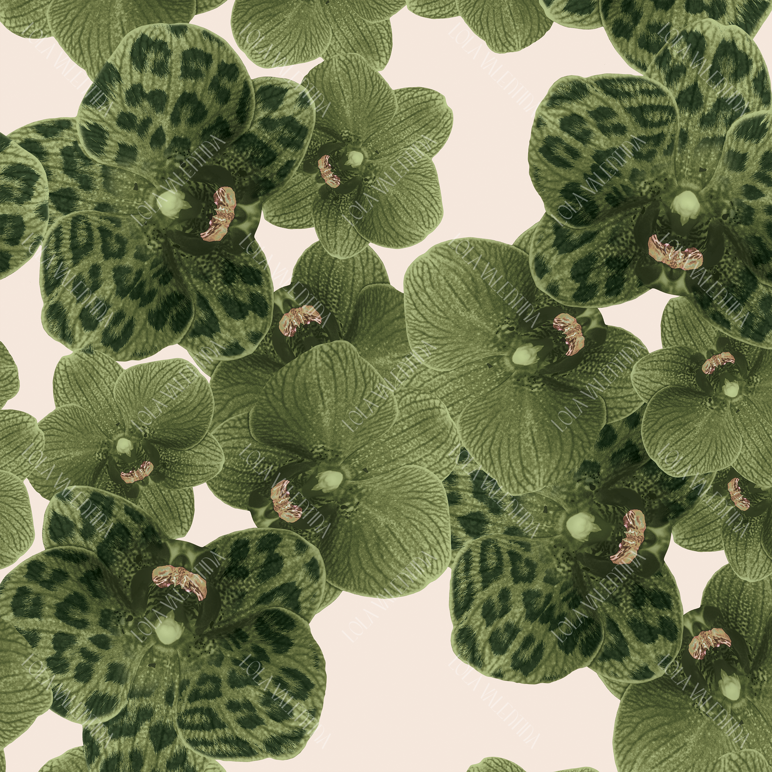 Loden Cream Orchid