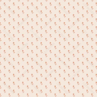 Apricot Savannah