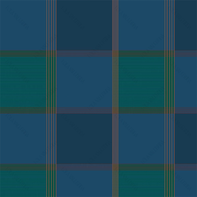 Denim Highland Plaid