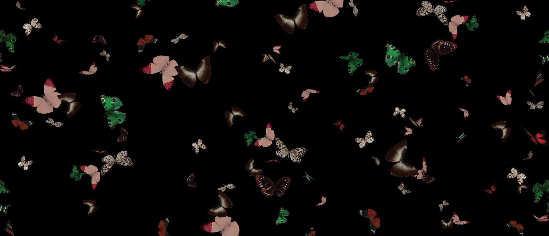 Butterfly linen pattern