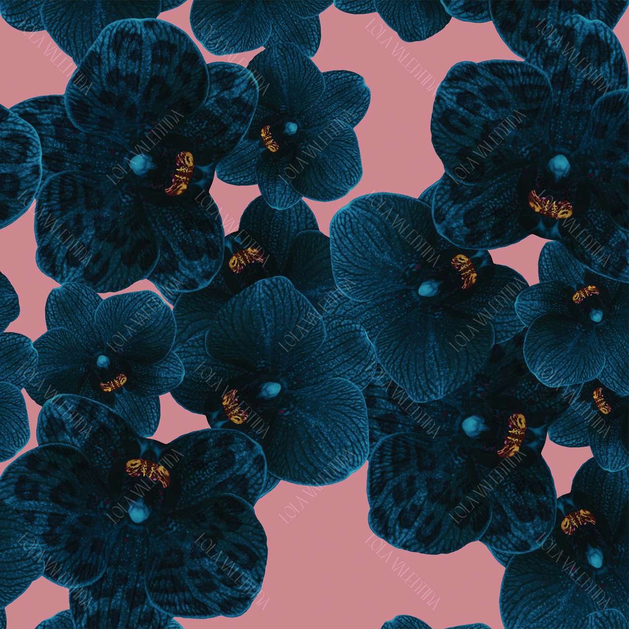 Blue Rose Pink Orchid