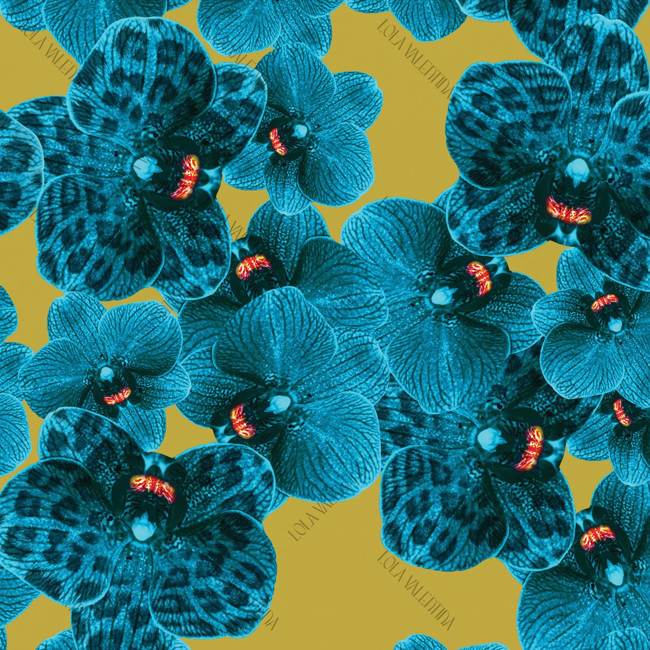 Teal Mustard Orchid