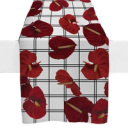 Red Anthurium - Runners