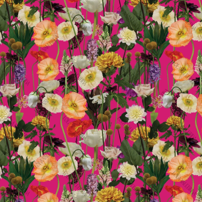 Hot Pink Botanical Garden