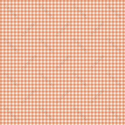 Apricot Mini Gingham