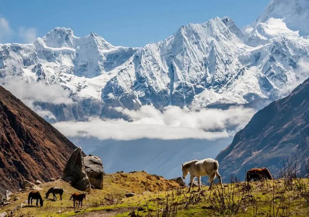 Manaslu Circuit Trek