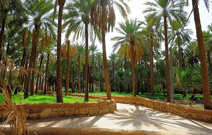 بريدة