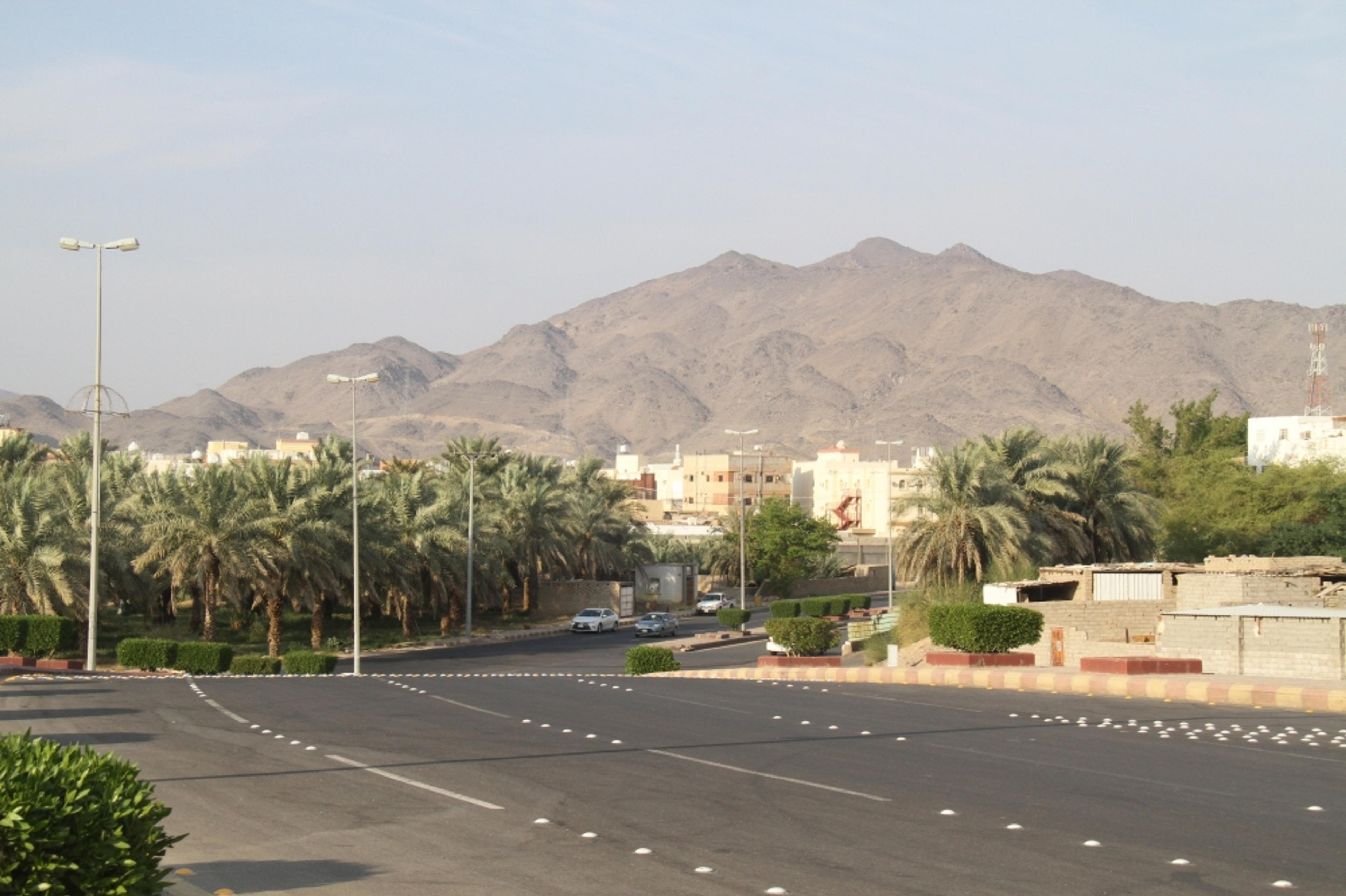 بدر