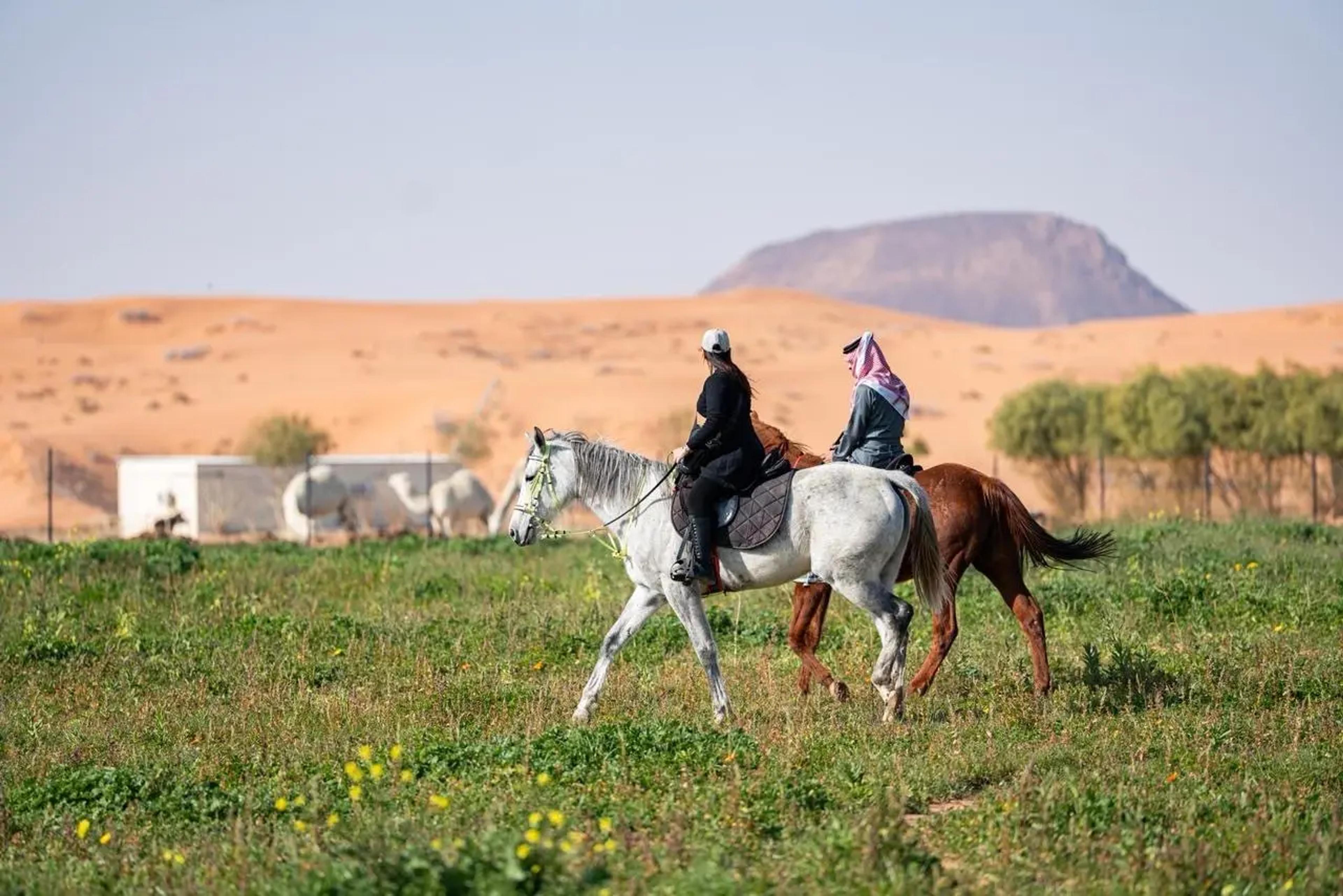 تجربة ركوب الخيل وسط طبيعة حائل