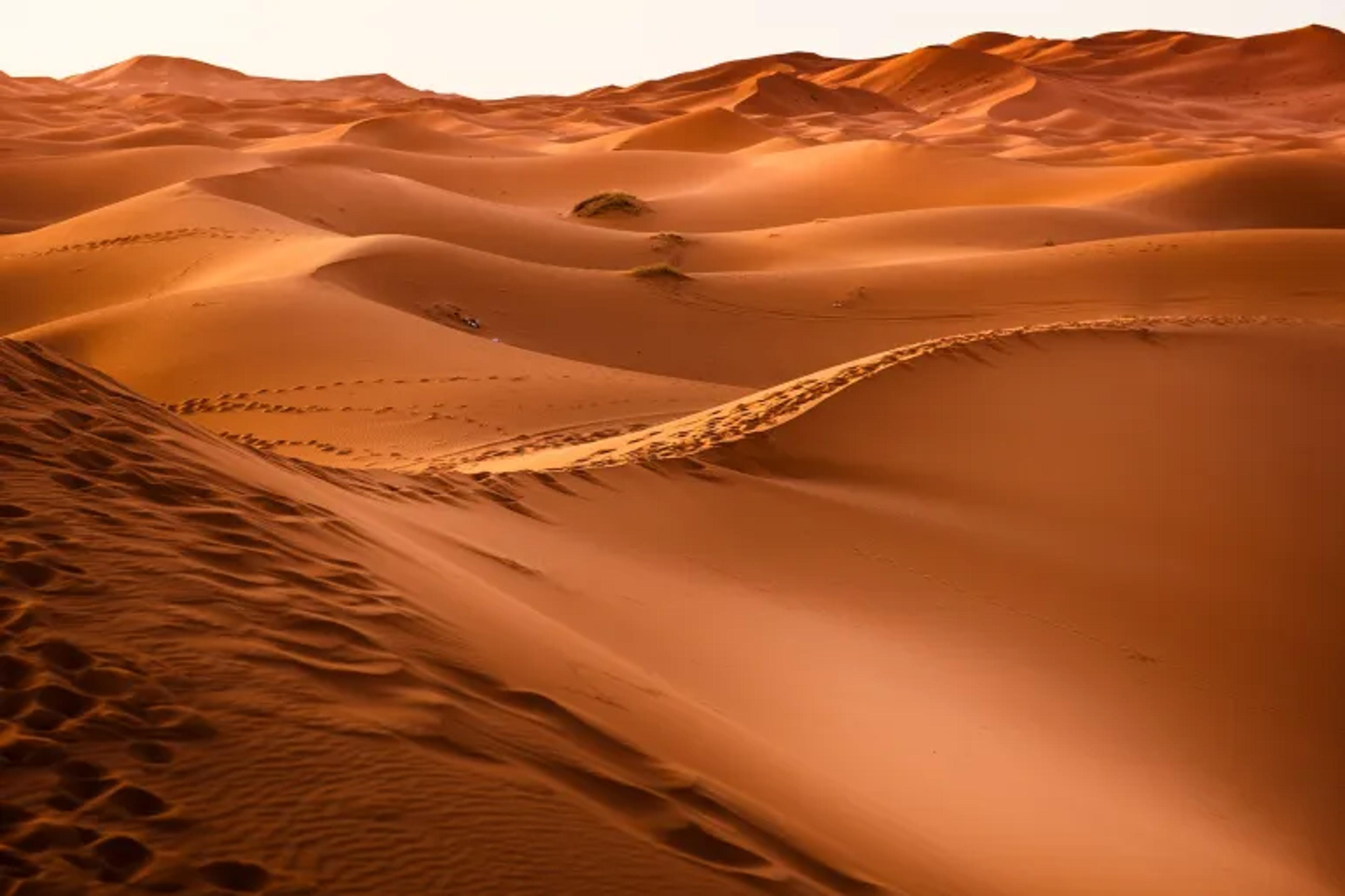 المزاحمية cover image