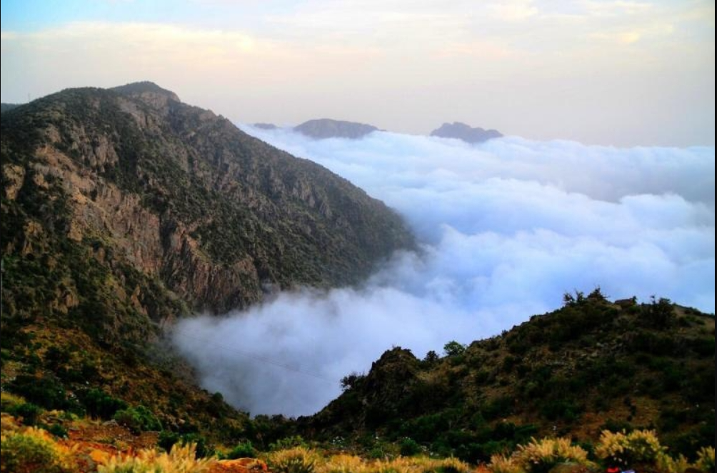 Abha image 1