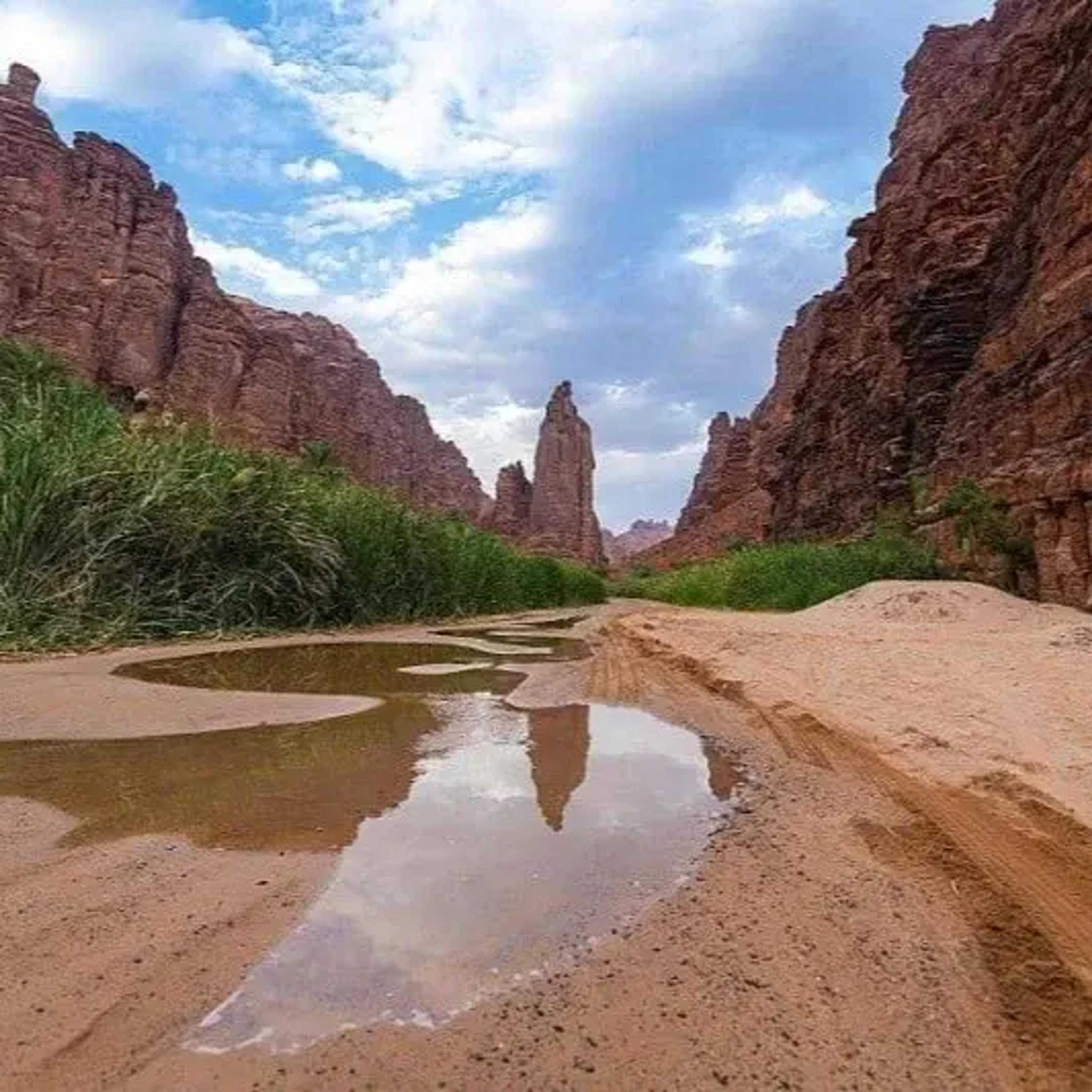 Wadi Al Disah: A Complete Tour from Tabuk (Valley of the Future)