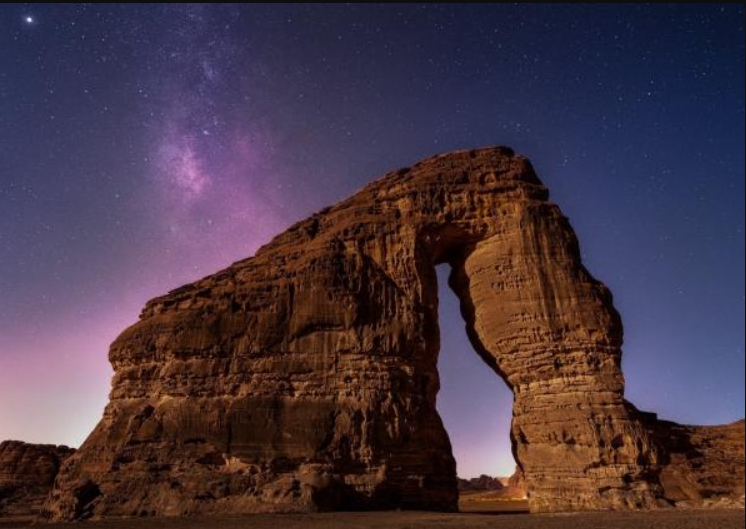 العلا cover image