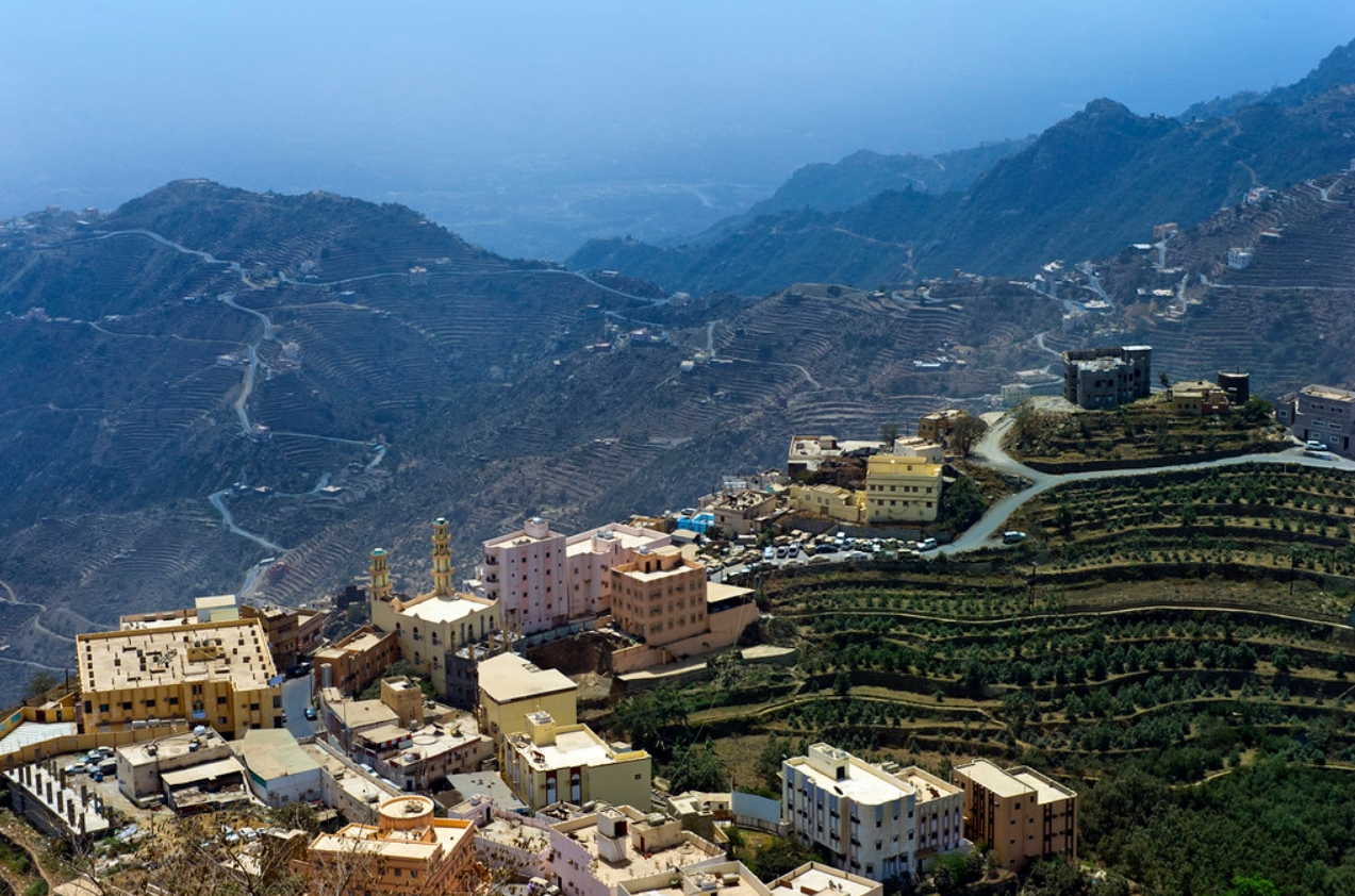 جازان cover image
