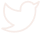 Social media logo