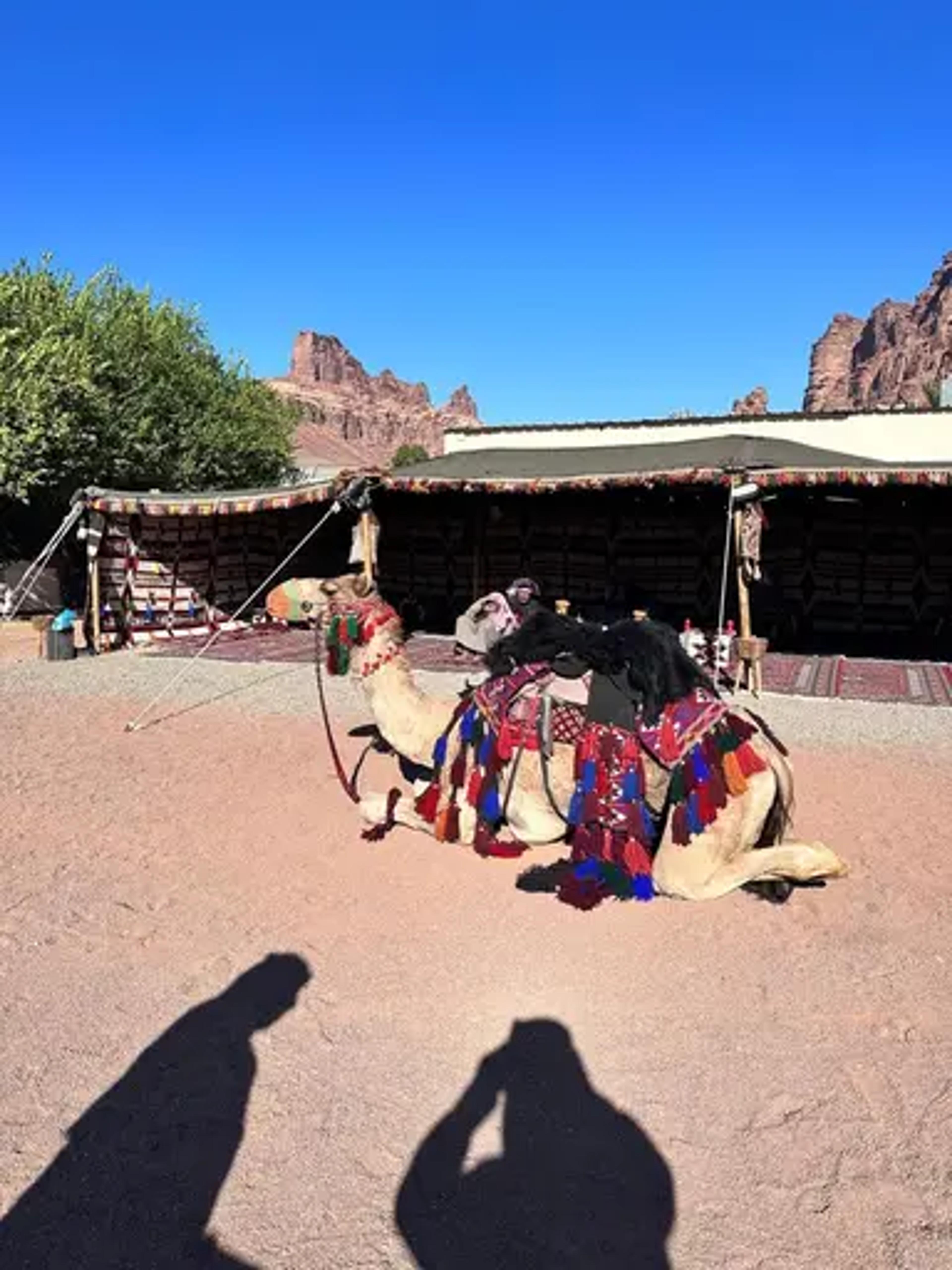 Tabuk: From an Adventure in Wadi Ghamrah to Starry Nights on a Rural Farm