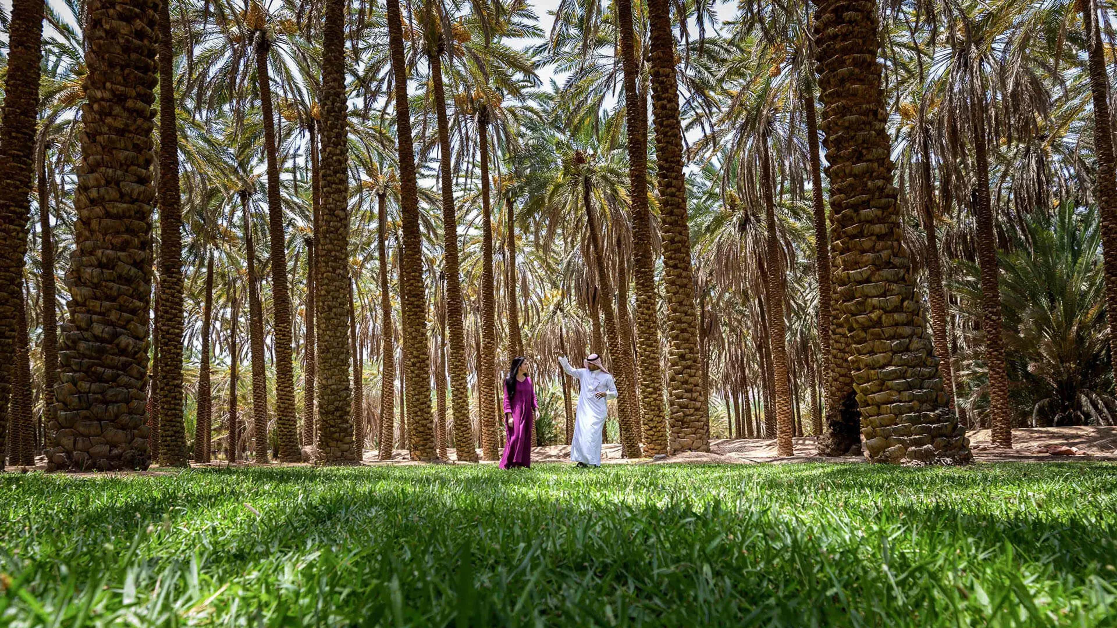 مسار الواحة التراثي