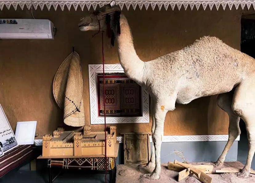 جادة عسيب ومتحف العقيلات