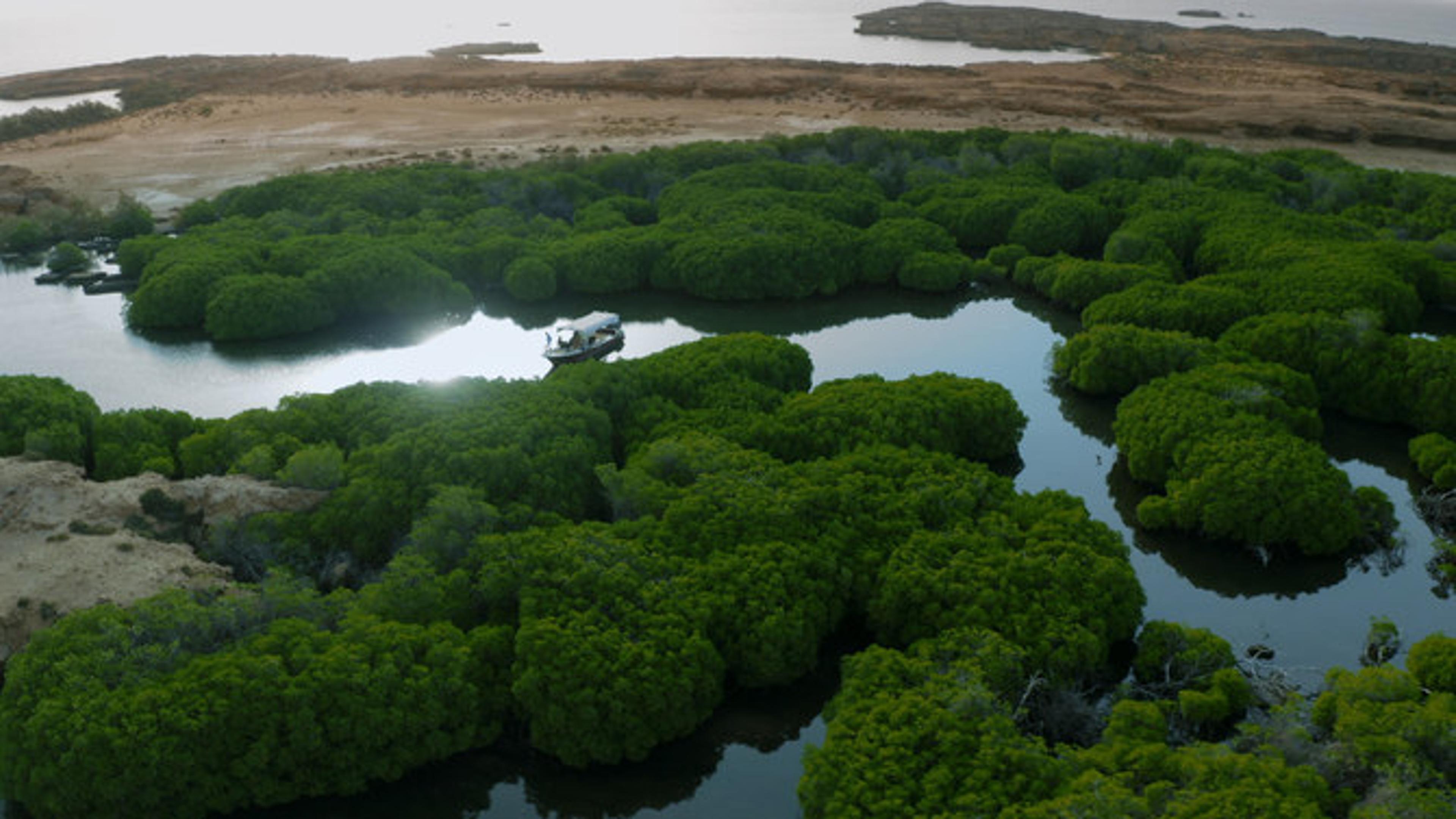 جزر فرسان cover image