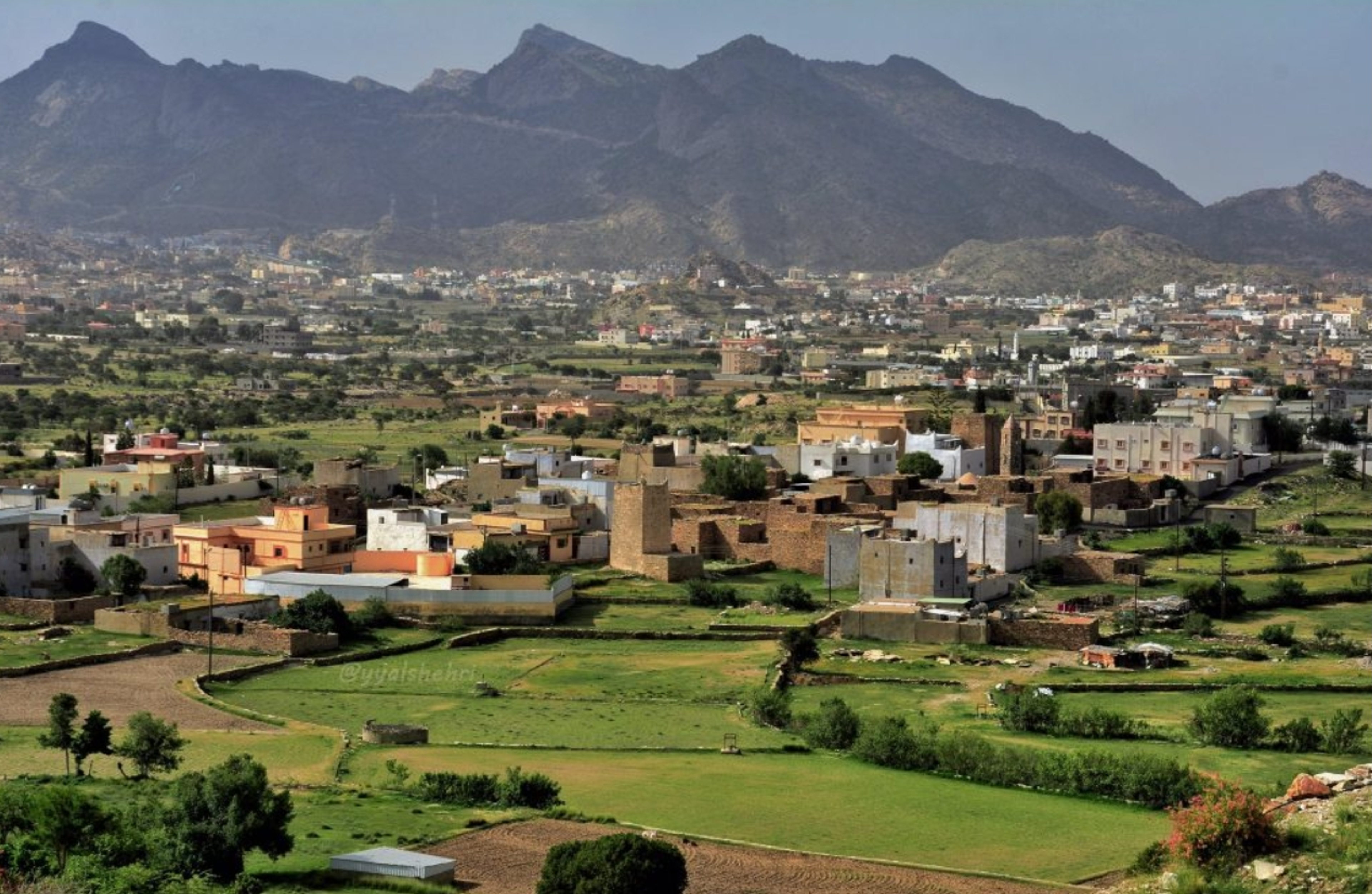تنومة cover image