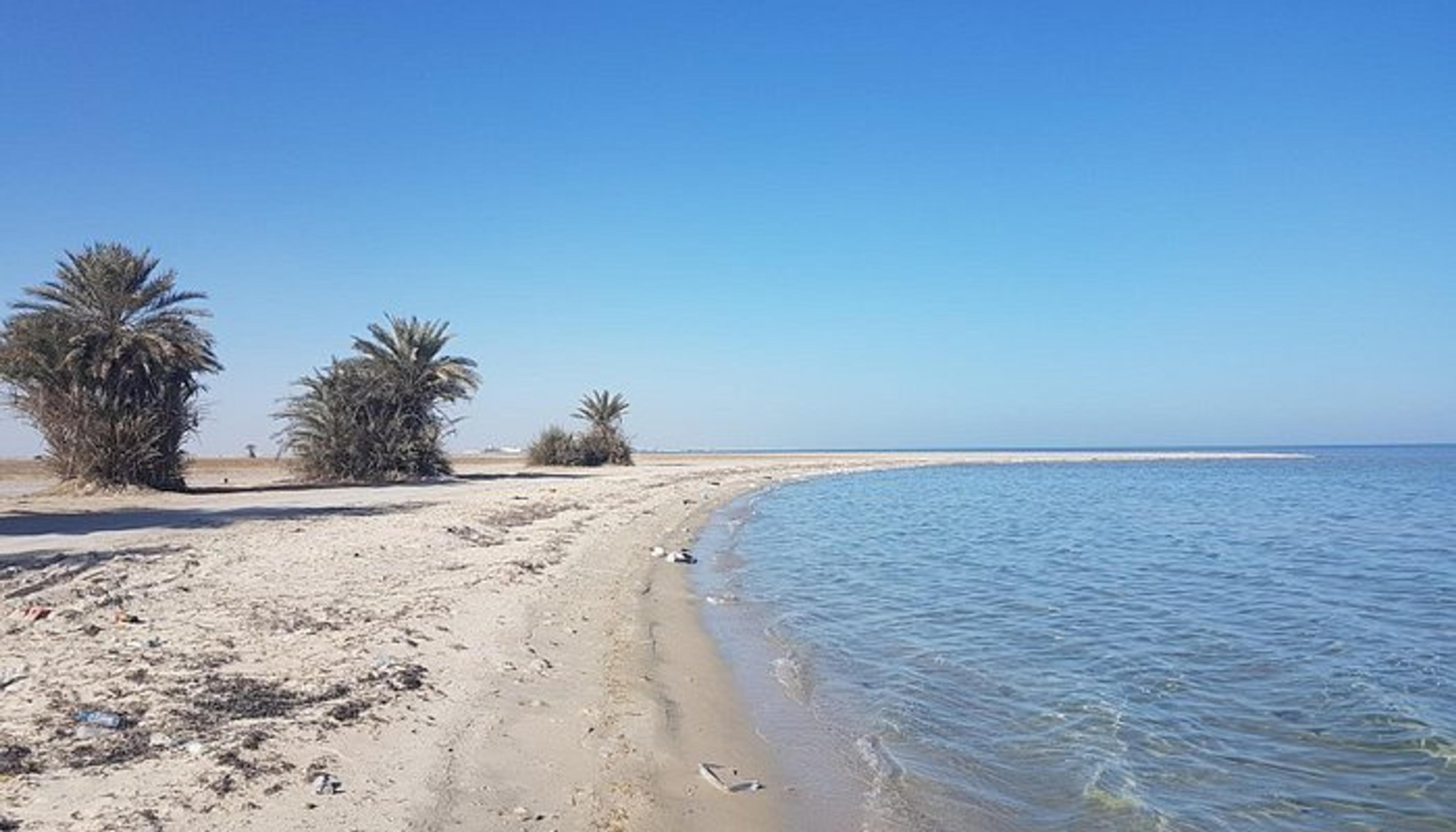 الأحساء