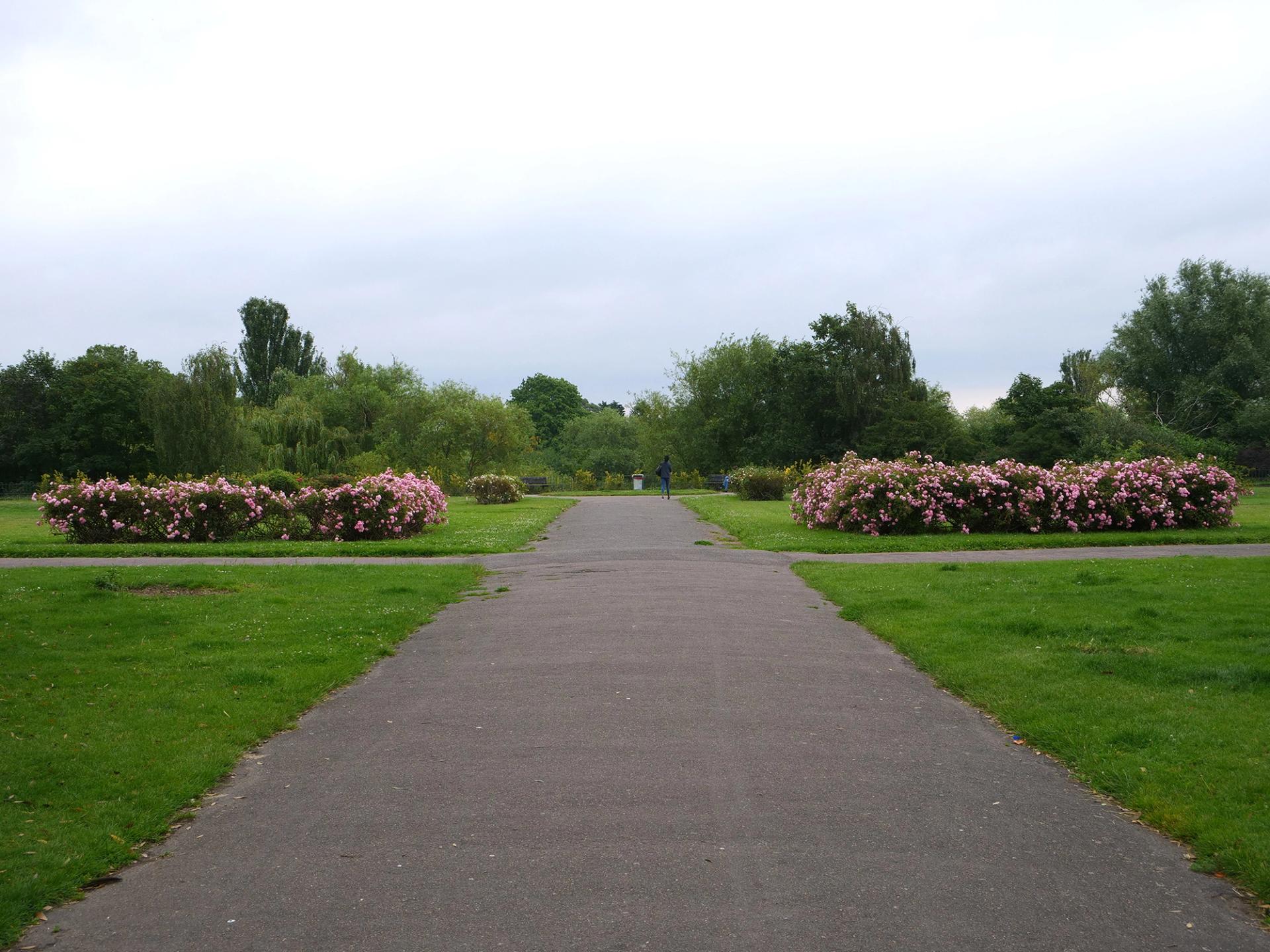 A pathway and flowers in Parsloe Park