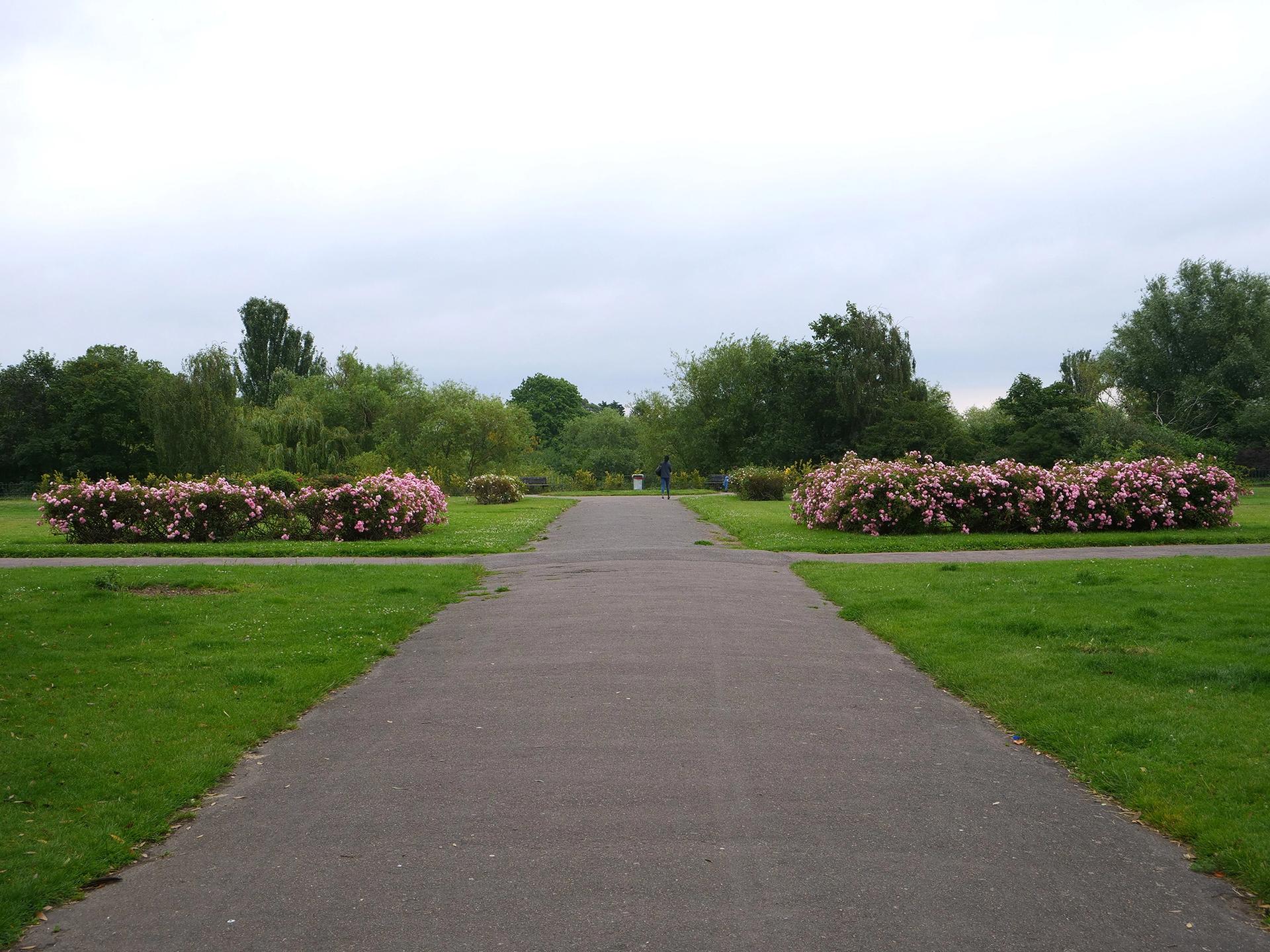 A pathway and flowers in Parsloe Park