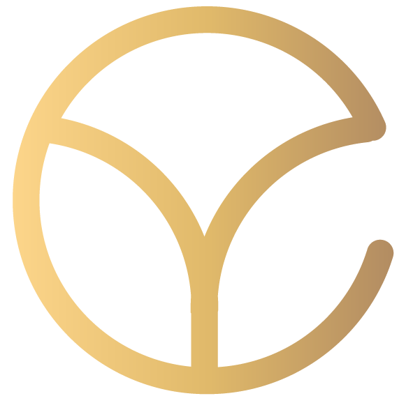 A Yunt Capital Outlook on DeFi
