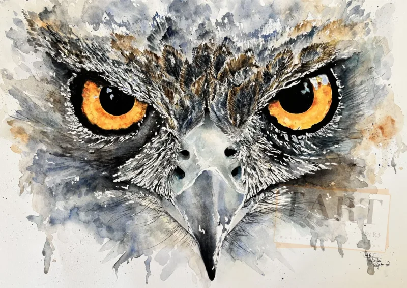 Owl