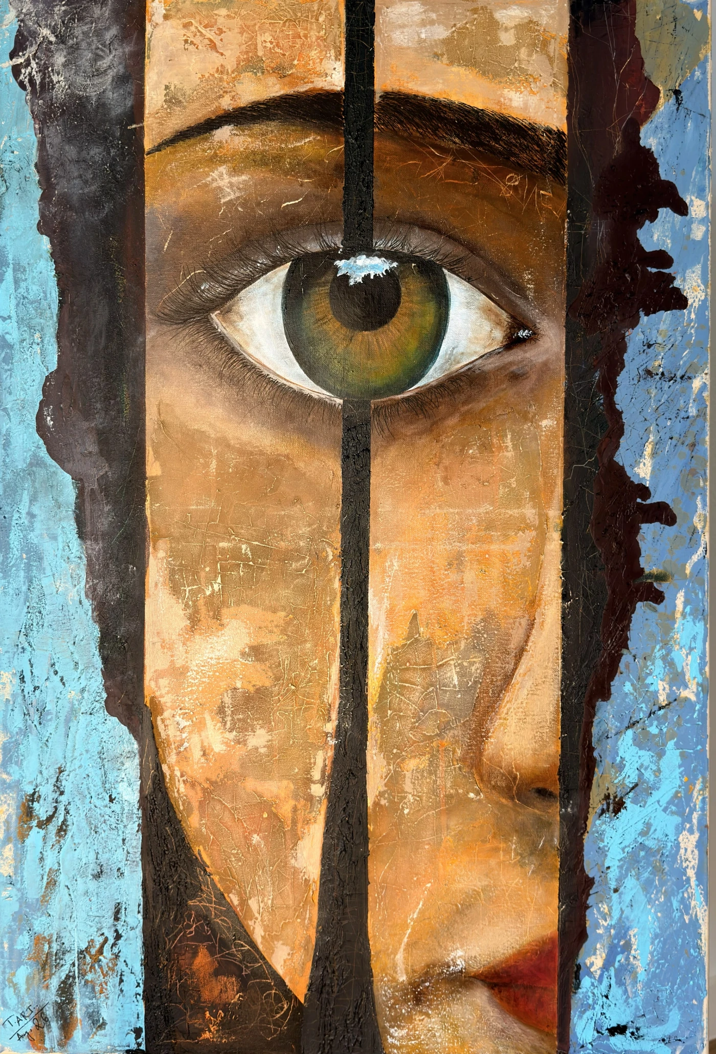 Fractured Vision