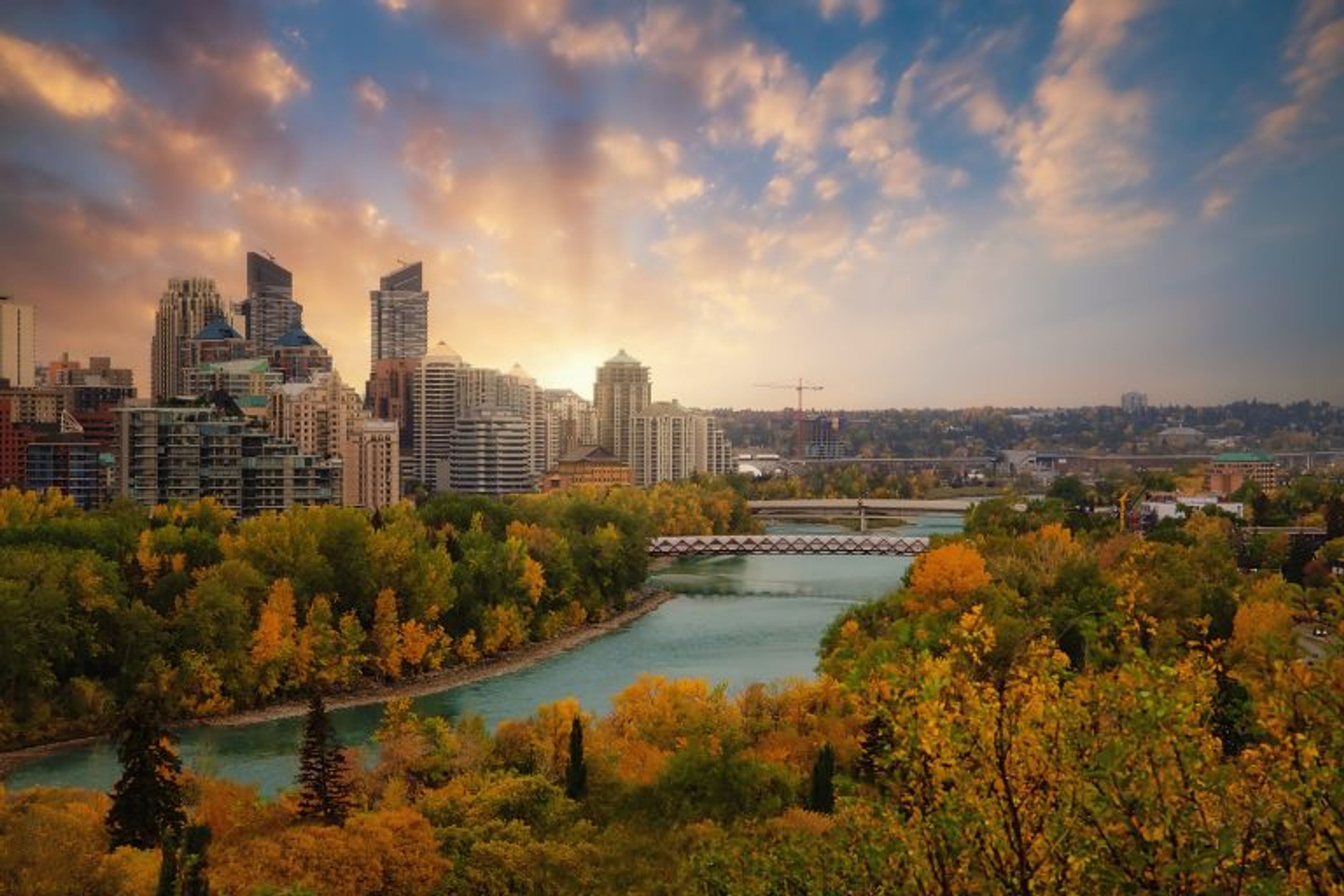 Article Header Image