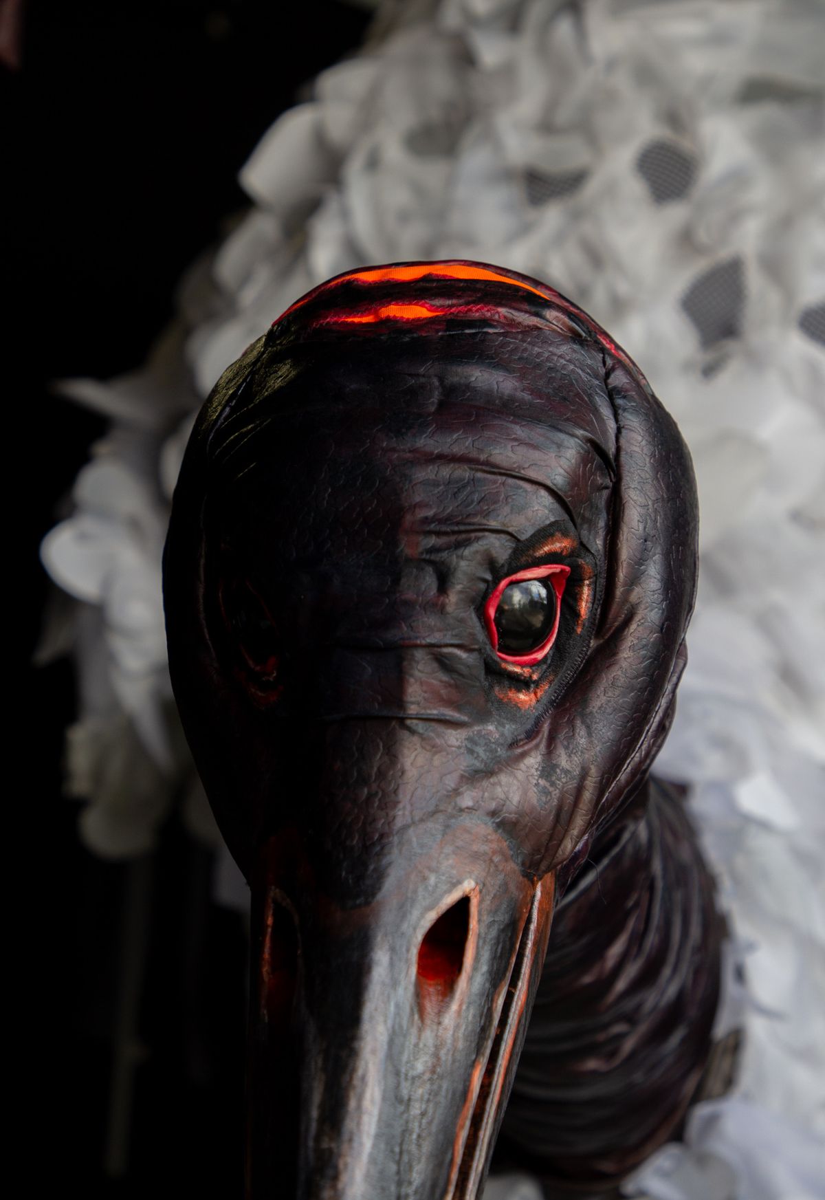 This is a close up photo of Ibsen the Tip Duck, a larger than life Ibis puppet who has a black and red beak and neck and a white feathery body