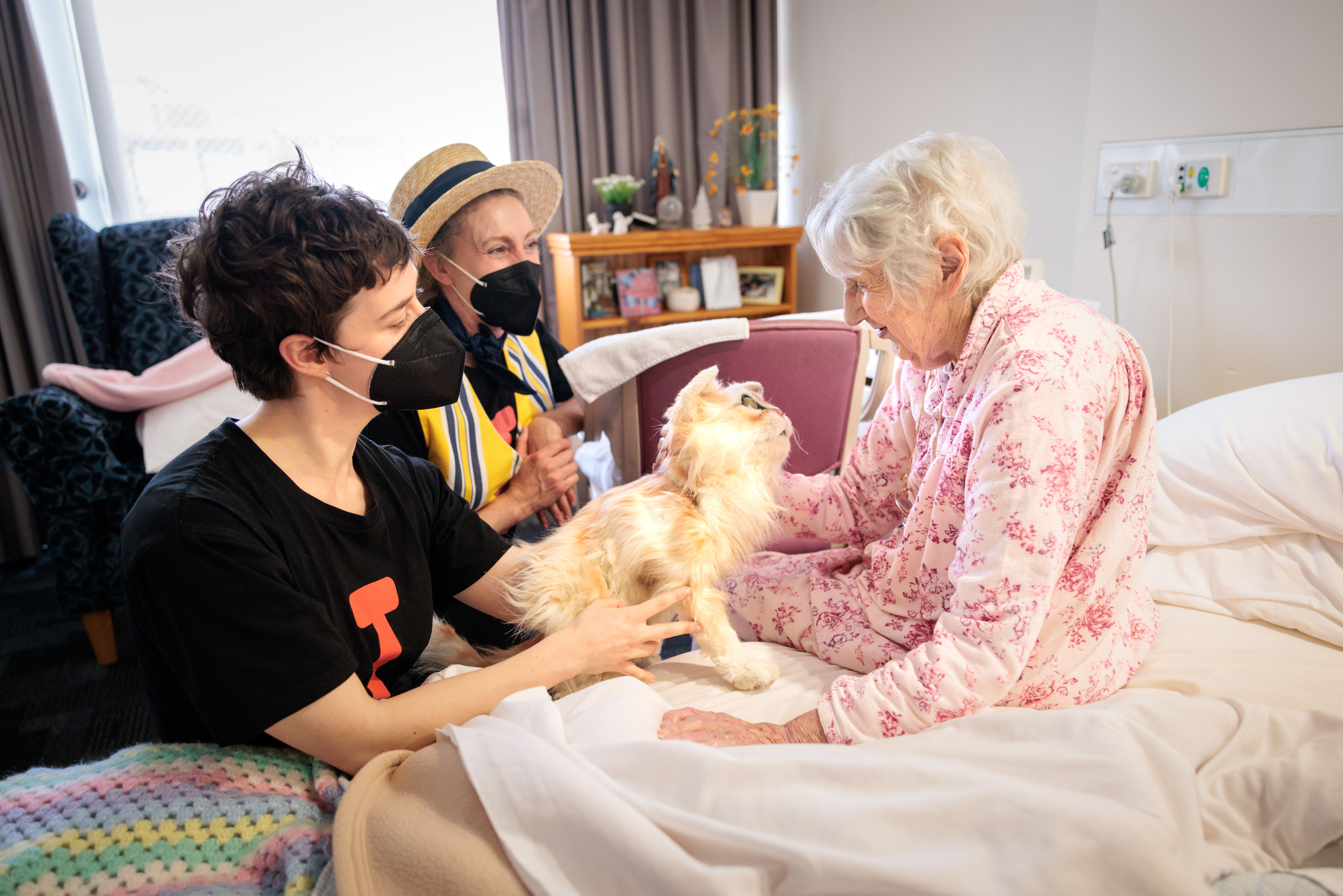 There are three people and a cat within this image. Two people wear black masks over their faces, one wears a boater hat and the other holds the cat puppet up to an elderly person sitting on a bed. The elderly person pats and consoles the puppet cat.