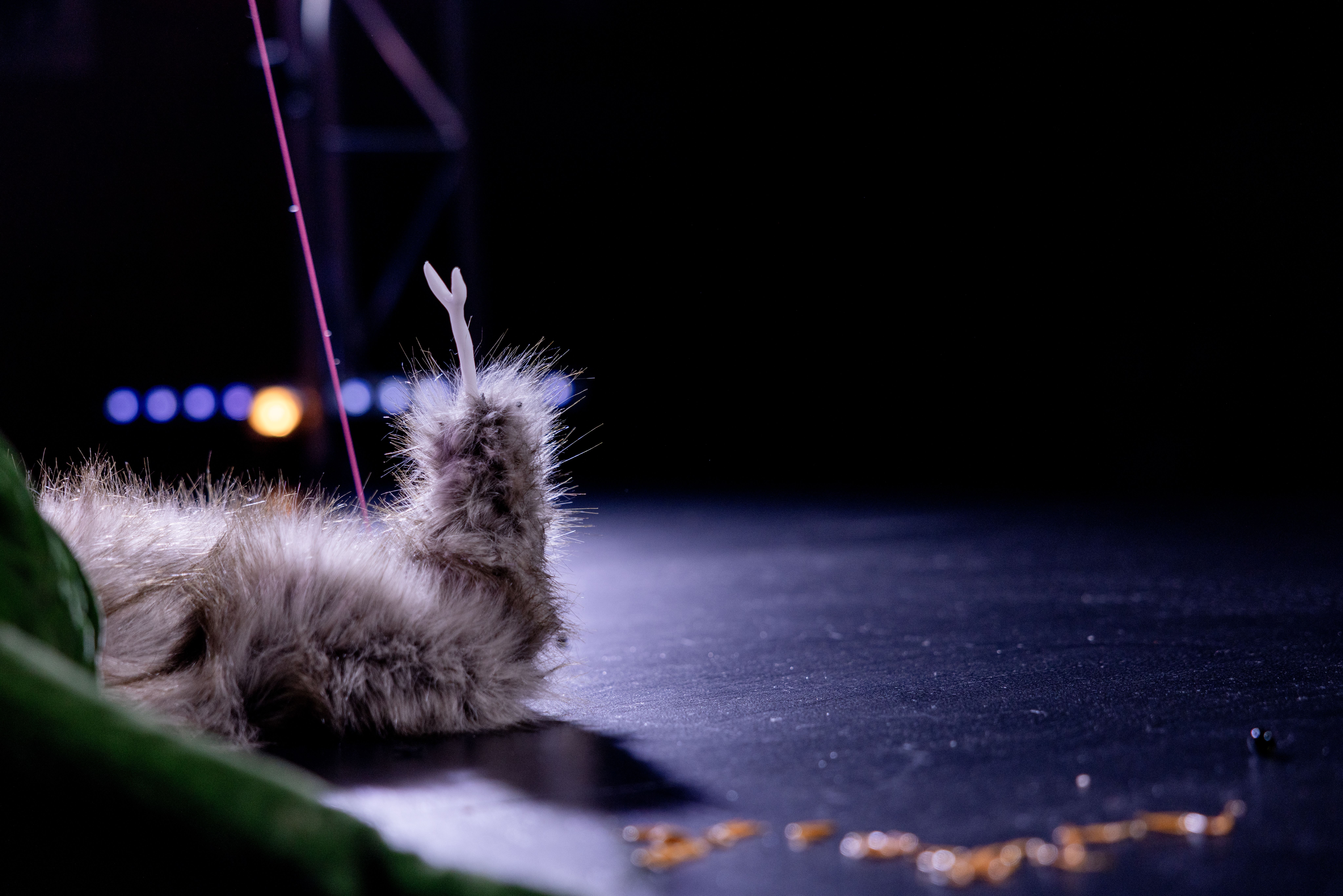 Low-lit stage with a fur element resting on the surface, a white bone-like structure emerging from it, with a pink thread extending upward.