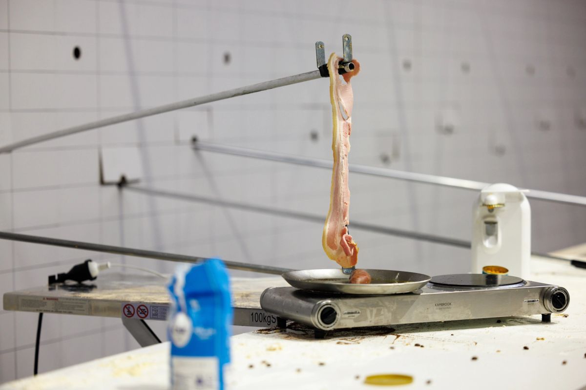 We see a variety of breakfast paraphernalia on a table, here we see a hotplate operated by a long pole and a long piece of bacon held high above the hot plate.