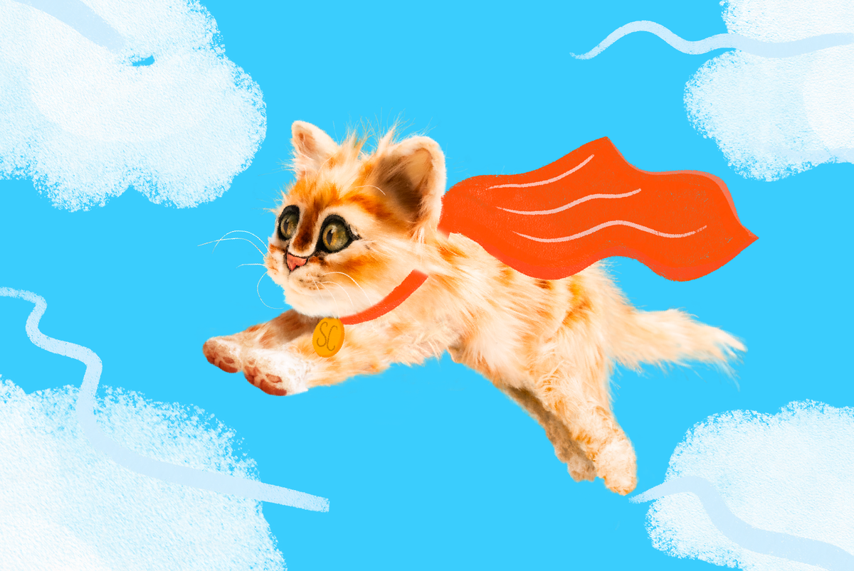 Graphic of cat flying through the sky