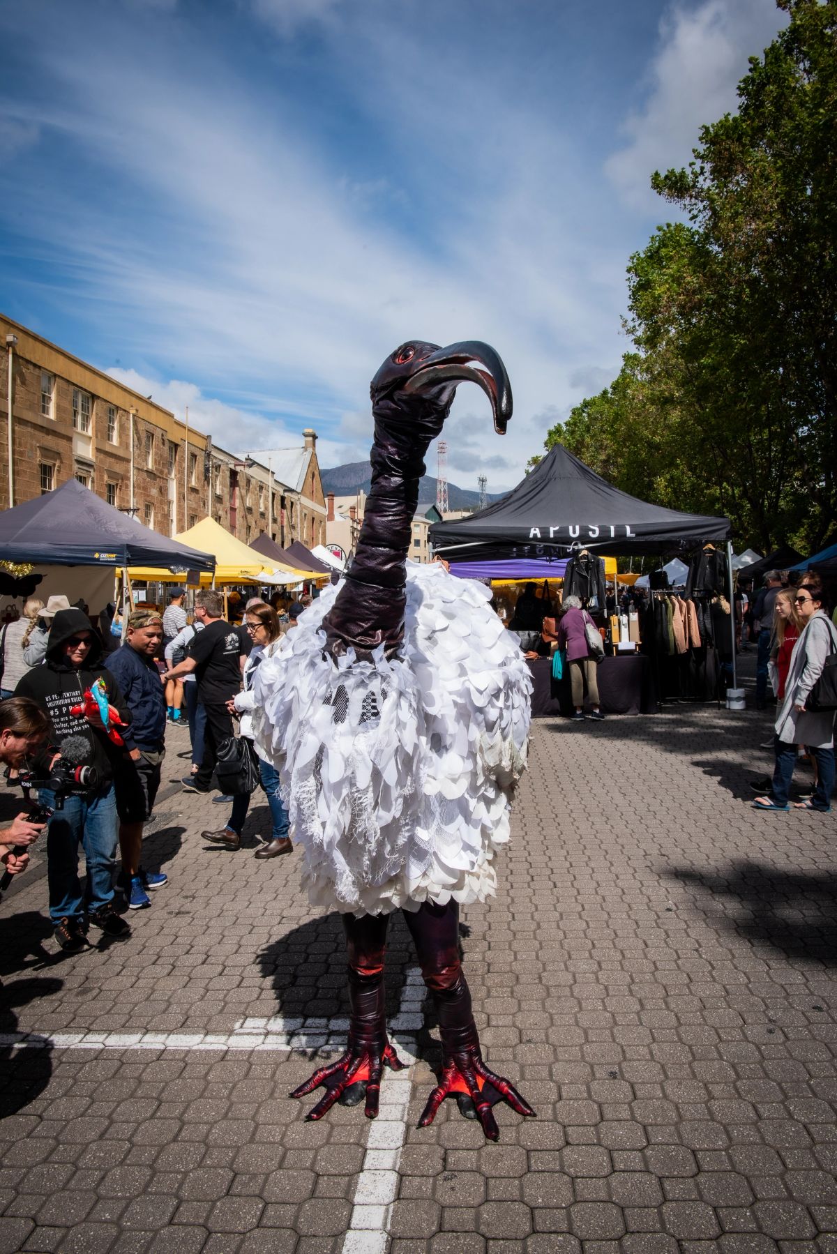 A giant ibis bin chicken puppet which has a white feathers body and a long black and red neck, beak and legs walks along Salamanca surrounded by people