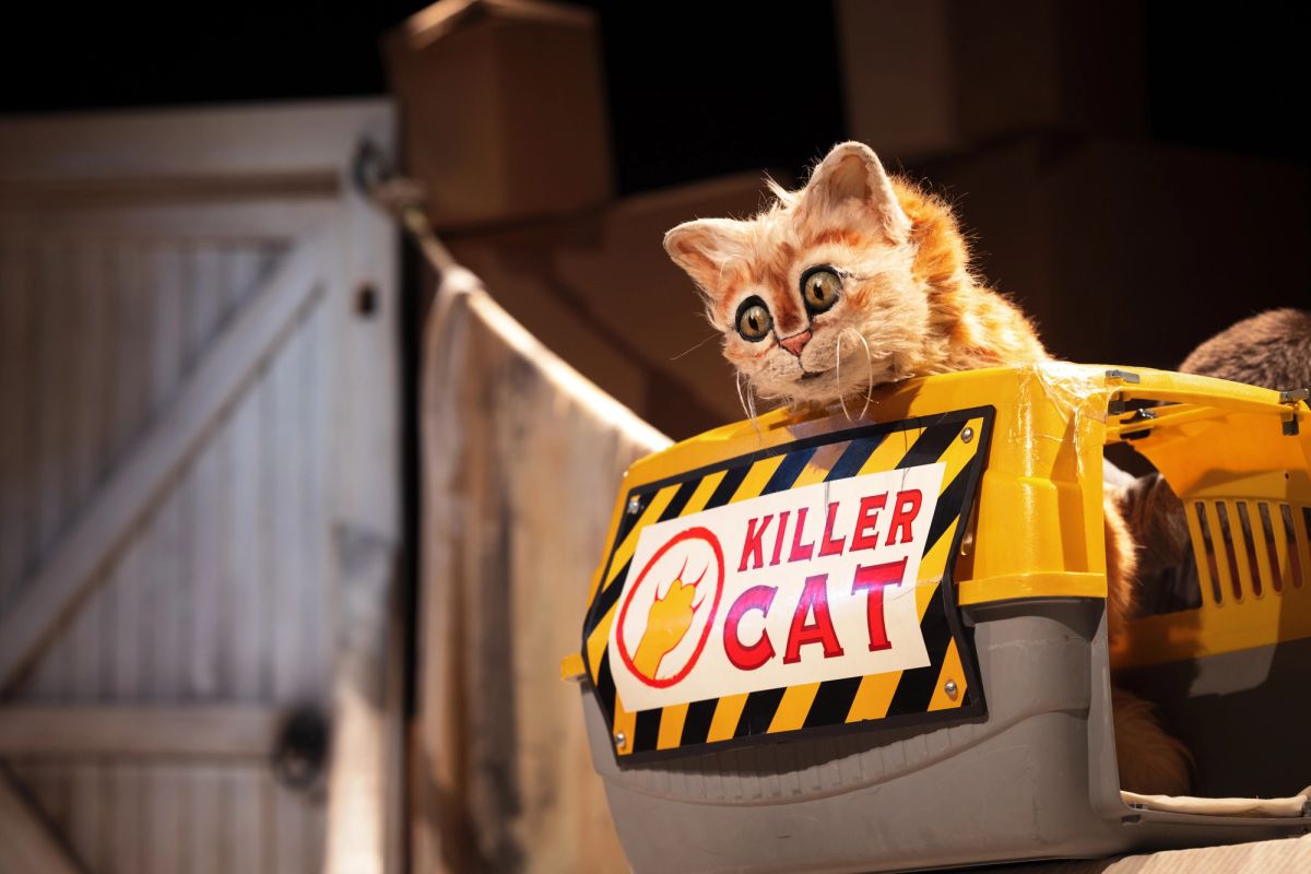 There is an orange tabby cat poking out the top of a yellow and grey cat carrier, on the side of the carrier says 'KILLER CAT' but this puppet cat doesn't look scary at all.