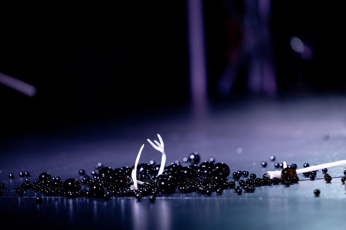 Matter Era oorbeez are scattered on a dark surface with small white bone-like structures emerging.