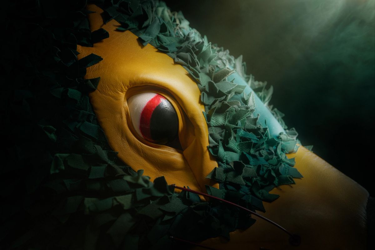 Rum’un: A Tasmanian mascot, for the Tasmania Football Club. This is a close up of red around the eye, fur and nose.